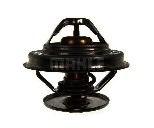 coolant Behr Thermot-Tronik TX 24 87D Thermostat