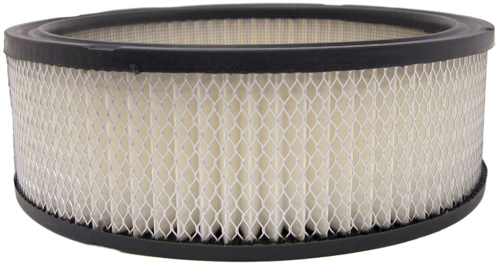 ACDELCO GOLD/PROFESSIONAL - Vapor Canister Filter - DCC A114C