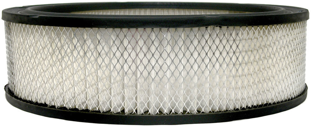 ACDELCO GOLD/PROFESSIONAL - Air Filter - DCC A348C
