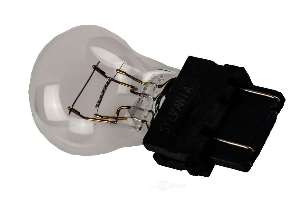 GM GENUINE PARTS - Back Up Light Bulb - GMP 19355642