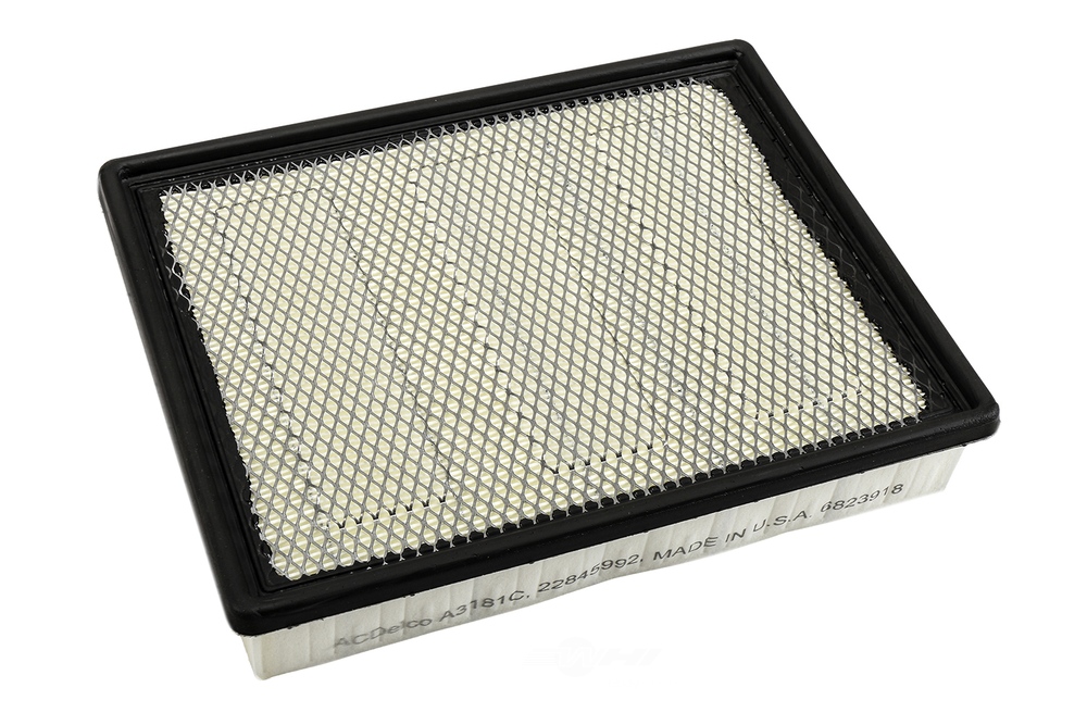 ACDELCO GOLD/PROFESSIONAL - Air Filter - DCC A3181C