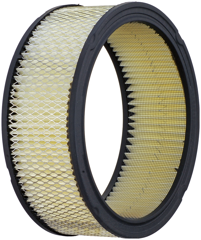 ACDELCO GOLD/PROFESSIONAL - Air Filter - DCC A178CW