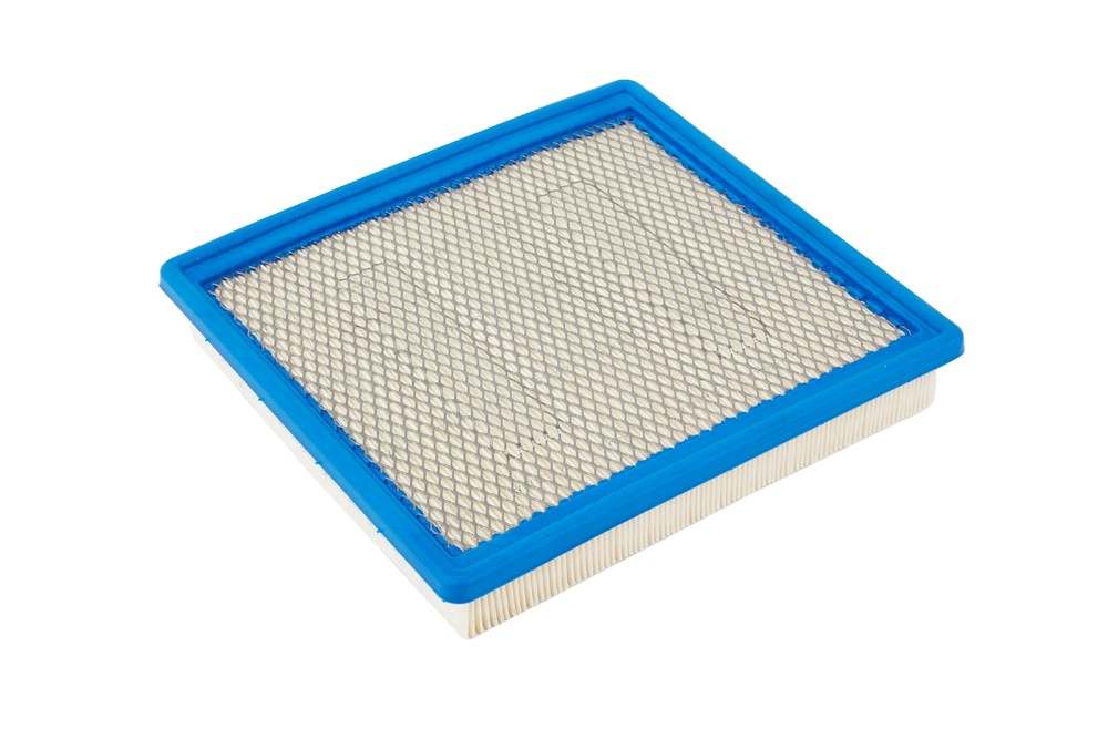 ACDELCO GOLD/PROFESSIONAL - Vapor Canister Filter - DCC A3195C