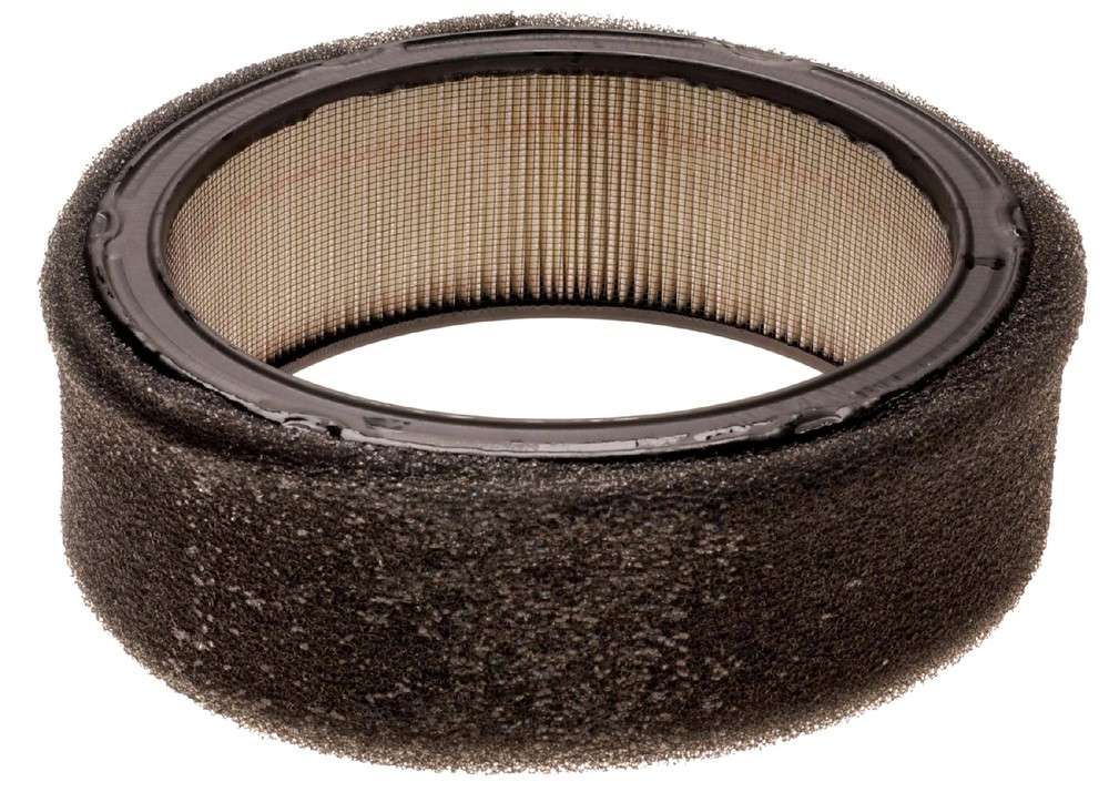 ACDELCO GOLD/PROFESSIONAL - Air Filter - DCC A333C