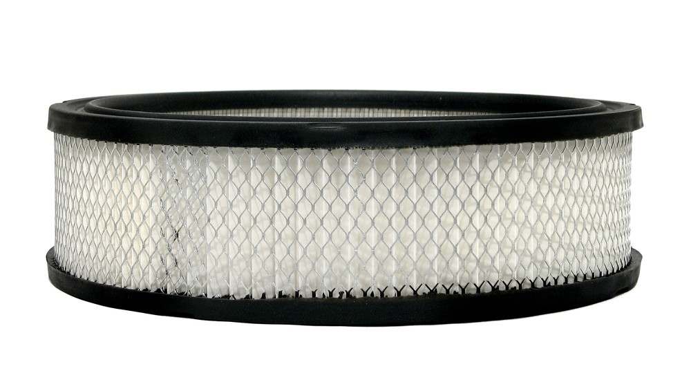 ACDELCO GOLD/PROFESSIONAL - Air Filter - DCC A773C