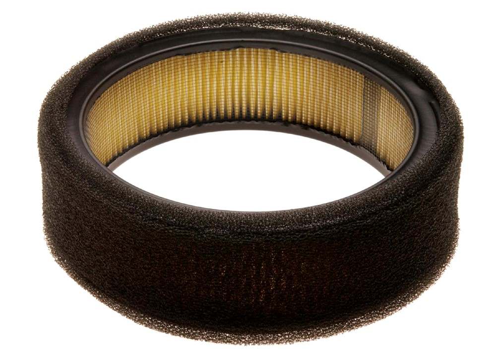 ACDELCO GOLD/PROFESSIONAL - Air Filter - DCC A913C