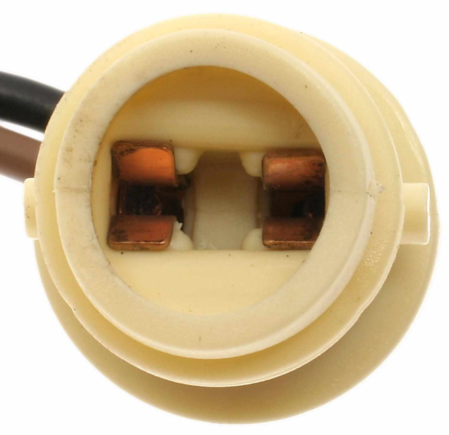 ACDELCO GOLD/PROFESSIONAL - License Plate Light Socket - DCC LS264