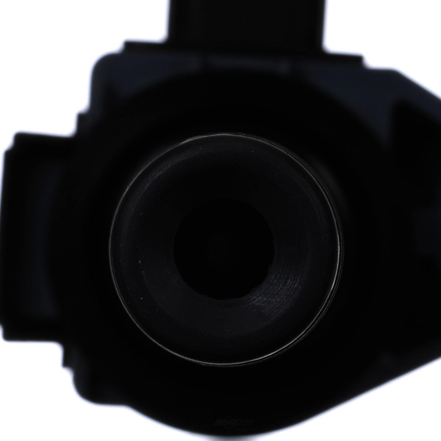 Ignition Coil GN10733 Delphi