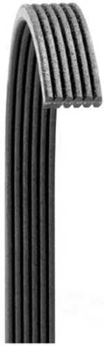 DRIVERITE - Serpentine Belt - DVT - 6060702dr